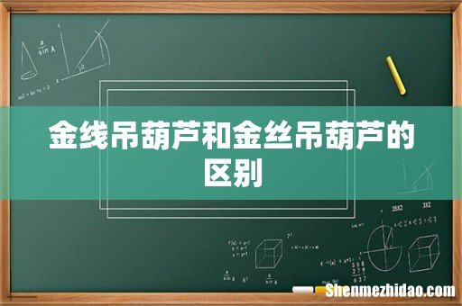 金线吊葫芦和金丝吊葫芦的区别
