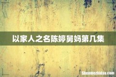 以家人之名陈婷舅妈第几集