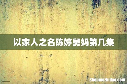 以家人之名陈婷舅妈第几集