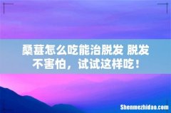 桑葚怎么吃能治脱发 脱发不害怕，试试这样吃！