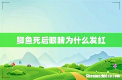 鲫鱼死后眼睛为什么发红