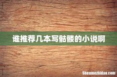 谁推荐几本写骷髅的小说啊