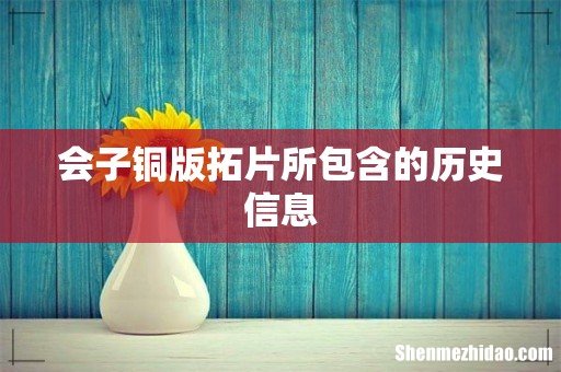 会子铜版拓片所包含的历史信息