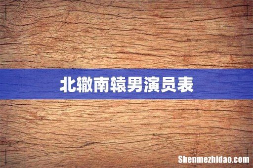北辙南辕男演员表