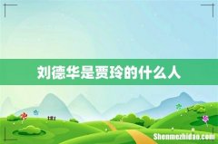 刘德华是贾玲的什么人