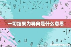 一切结果为导向是什么意思