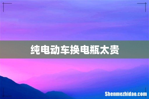 纯电动车换电瓶太贵