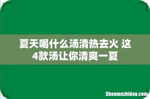 夏天喝什么汤清热去火 这4款汤让你清爽一夏