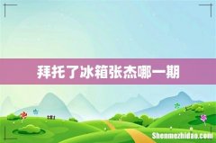 拜托了冰箱张杰哪一期