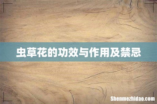 虫草花的功效与作用及禁忌