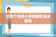 三四个月的小奶狗能吃玉米糊吗