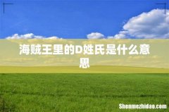 海贼王里的D姓氏是什么意思