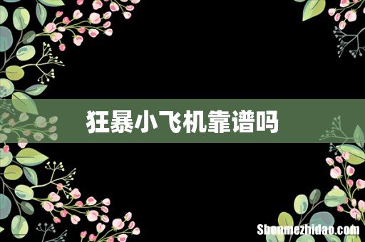狂暴小飞机靠谱吗