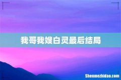 我哥我嫂白灵最后结局