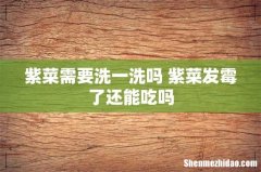 紫菜需要洗一洗吗 紫菜发霉了还能吃吗