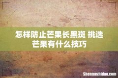 怎样防止芒果长黑斑 挑选芒果有什么技巧