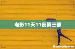 电影11天11夜第三部