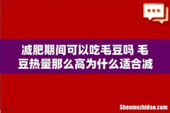 减肥期间可以吃毛豆吗 毛豆热量那么高为什么适合减肥
