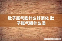 肚子胀气吃什么好消化 肚子胀气喝什么汤