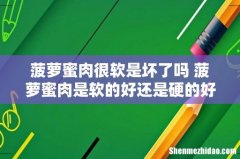 菠萝蜜肉很软是坏了吗 菠萝蜜肉是软的好还是硬的好