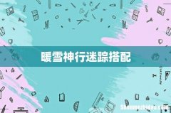 暖雪神行迷踪搭配