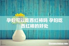 孕妇可以吃西红柿吗 孕妇吃西红柿的好处