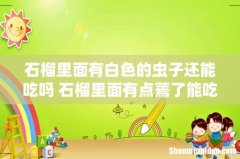 石榴里面有白色的虫子还能吃吗 石榴里面有点蔫了能吃吗