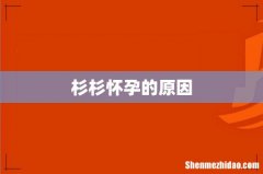杉杉怀孕的原因