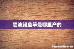 碧波鲤鱼竿是哪里产的