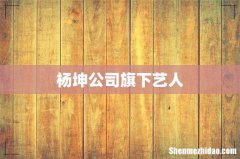 杨坤公司旗下艺人