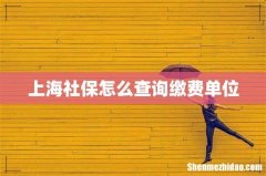上海社保怎么查询缴费单位