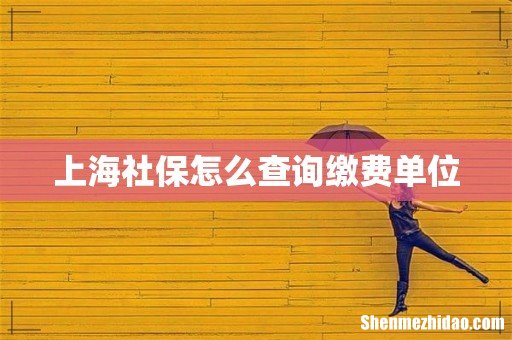 上海社保怎么查询缴费单位