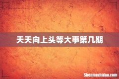 天天向上头等大事第几期