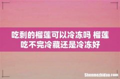 吃剩的榴莲可以冷冻吗 榴莲吃不完冷藏还是冷冻好