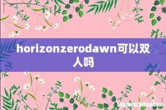 horizonzerodawn可以双人吗