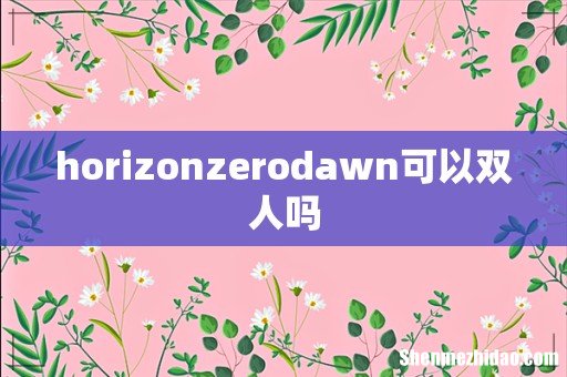 horizonzerodawn可以双人吗