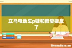 立马电动车p键和修复键反了
