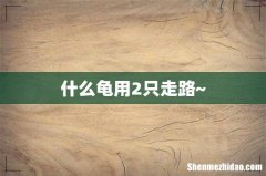 什么龟用2只走路~