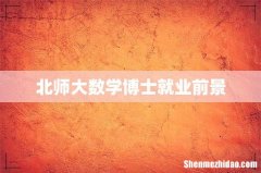 北师大数学博士就业前景
