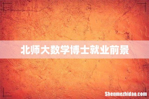北师大数学博士就业前景