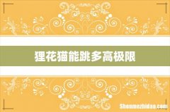 狸花猫能跳多高极限