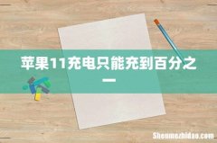 苹果11充电只能充到百分之一