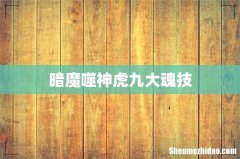 暗魔噬神虎九大魂技