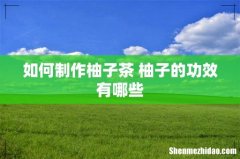如何制作柚子茶 柚子的功效有哪些