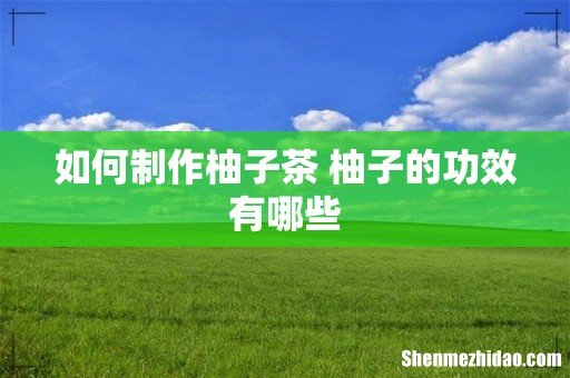 如何制作柚子茶 柚子的功效有哪些