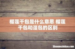 榴莲干包是什么意思 榴莲干包和湿包的区别