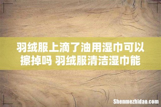 羽绒服上滴了油用湿巾可以擦掉吗 羽绒服清洁湿巾能擦皮衣吗