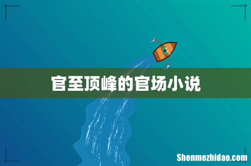 官至顶峰的官场小说