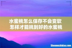 水蜜桃怎么保存不会变软 怎样才能挑到好的水蜜桃