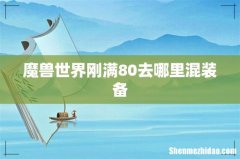 魔兽世界刚满80去哪里混装备